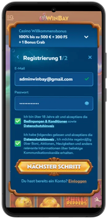WinBay E-Mail und Passwort eingeben