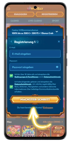 Winbay online anmelden – E-Mail und Passwort im Registrierungsformular eingeben